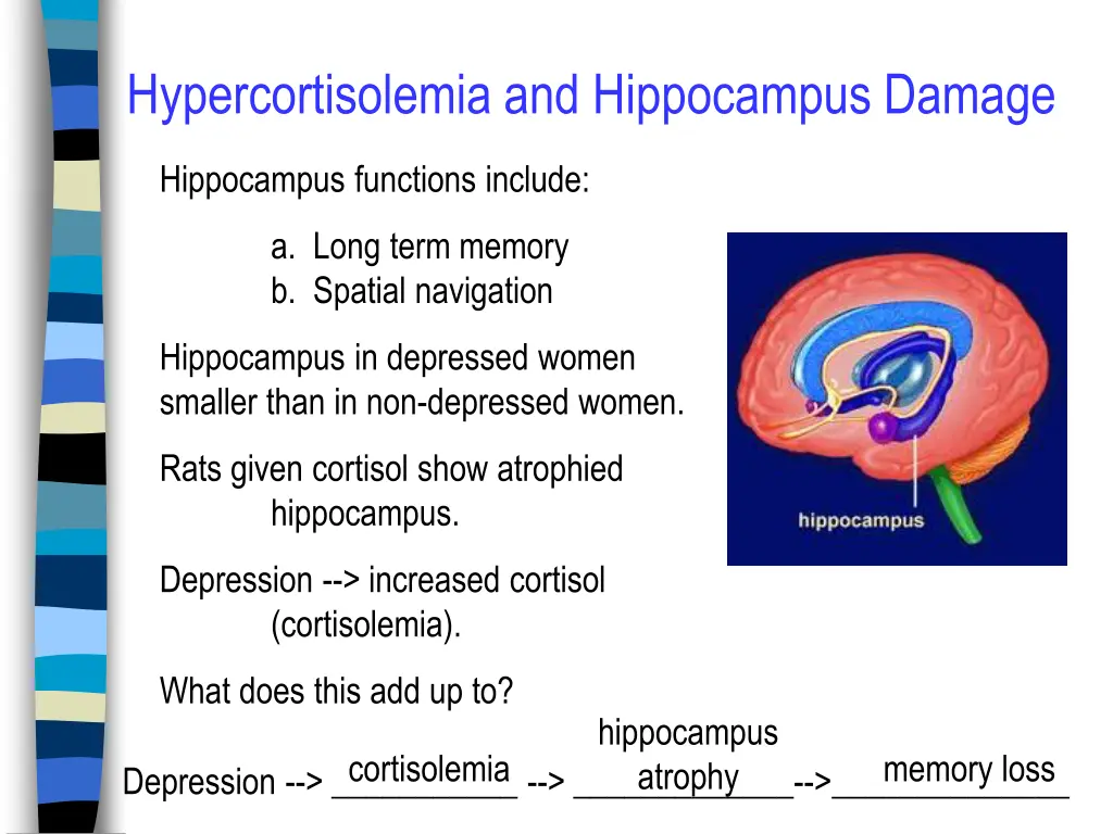 hypercortisolemia and hippocampus damage