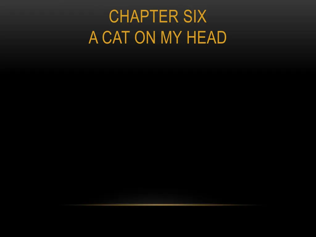 chapter six a cat on my head