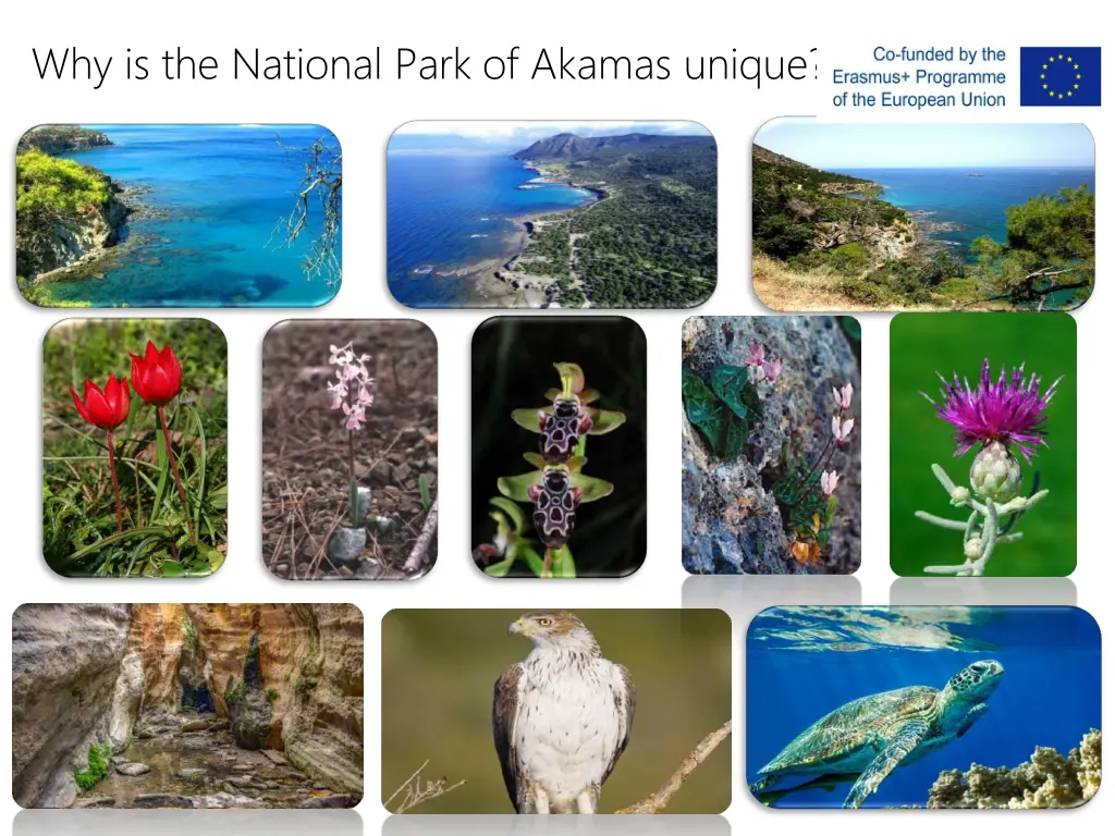 why is the national park of akamas unique