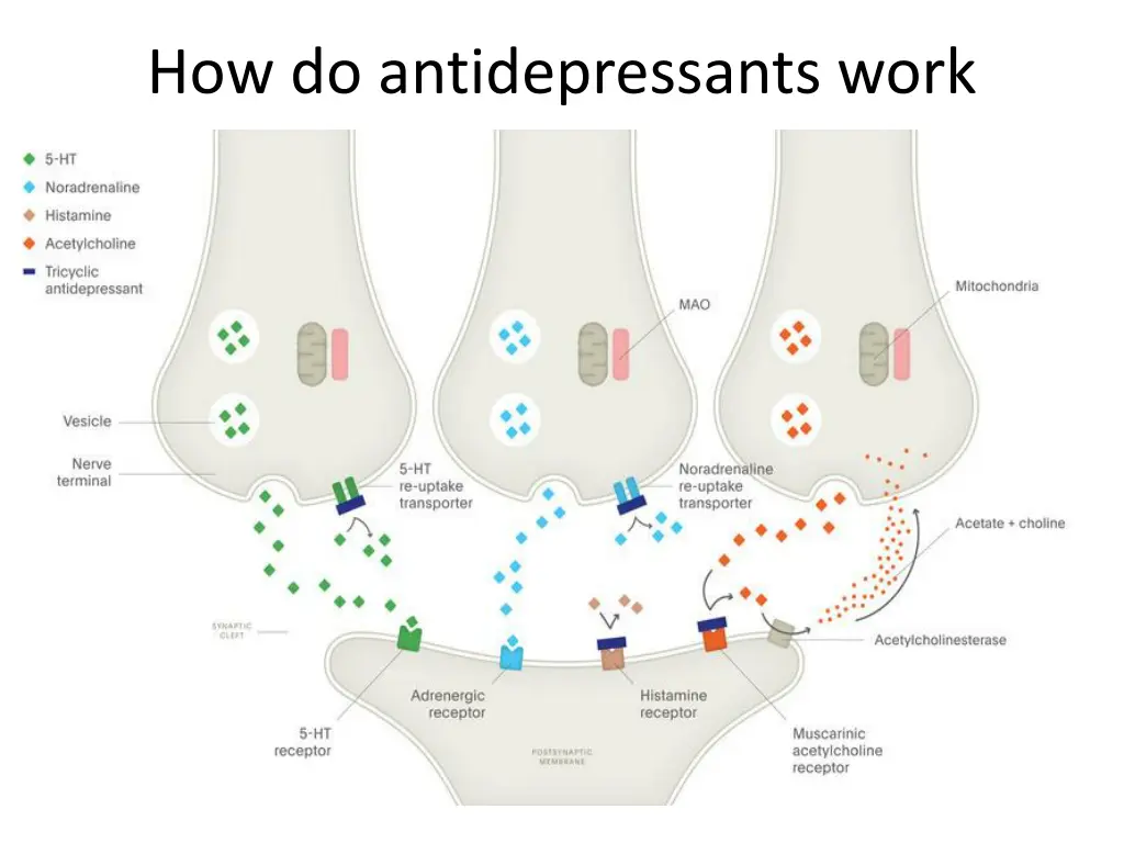 how do antidepressants work