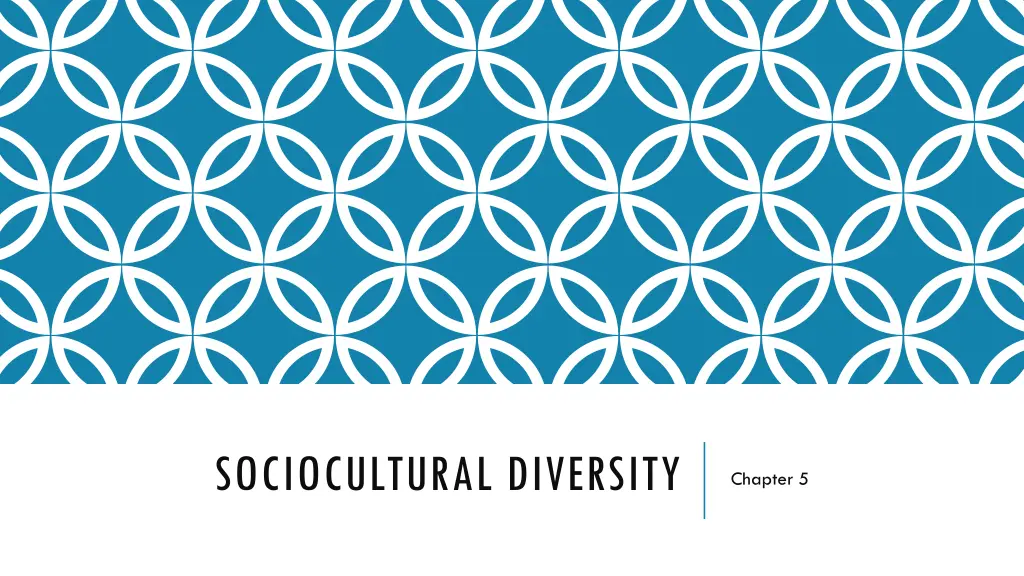 sociocultural diversity