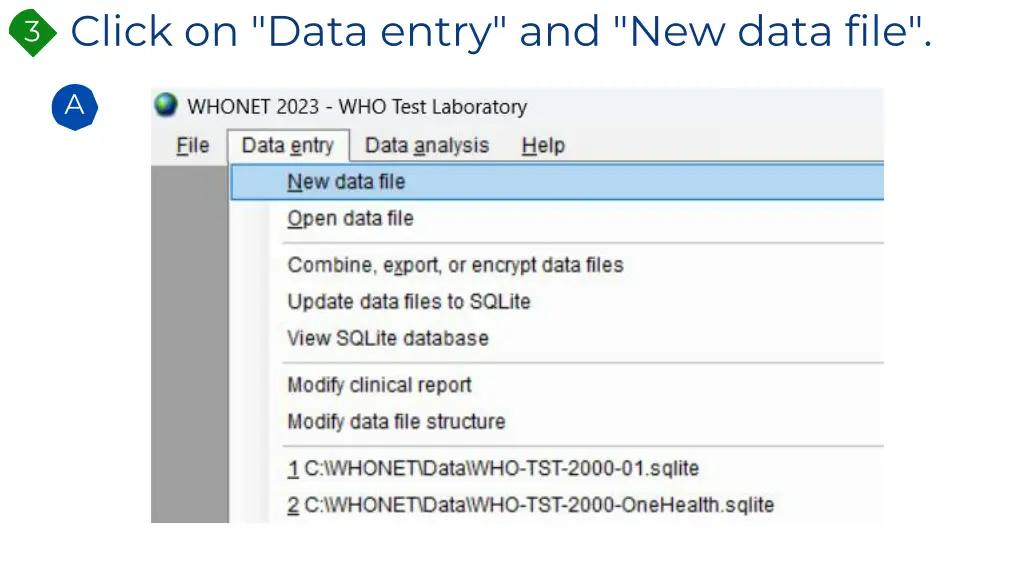 click on data entry and new data file