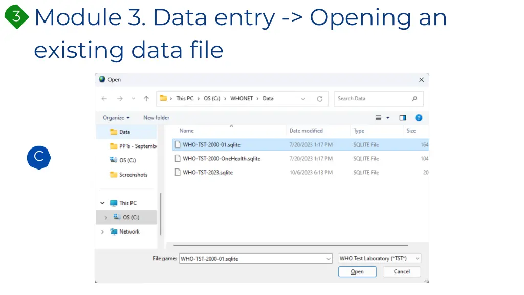 module 3 data entry opening an existing data file