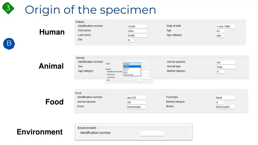 origin of the specimen