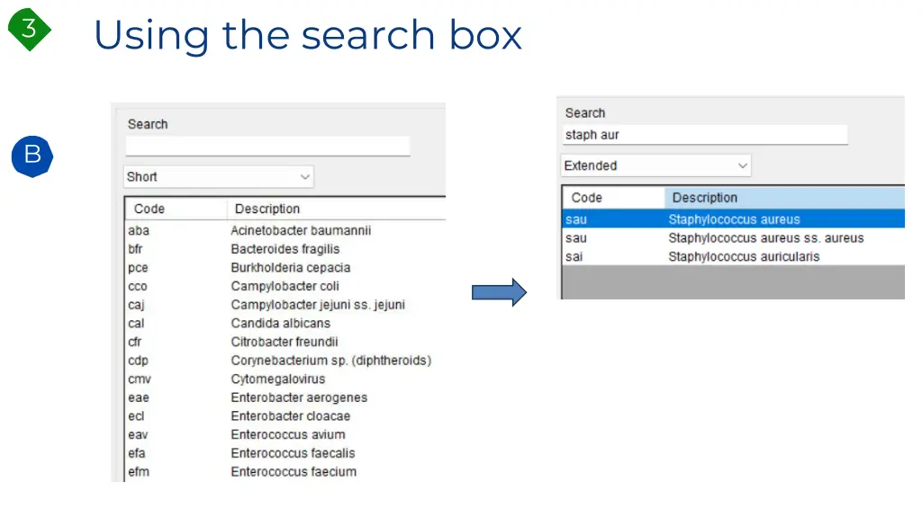 using the search box