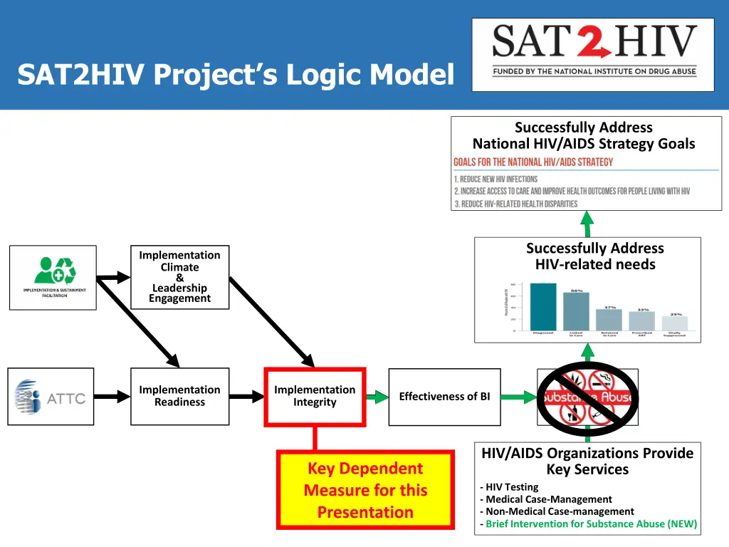 sat2hiv project s logic model 1