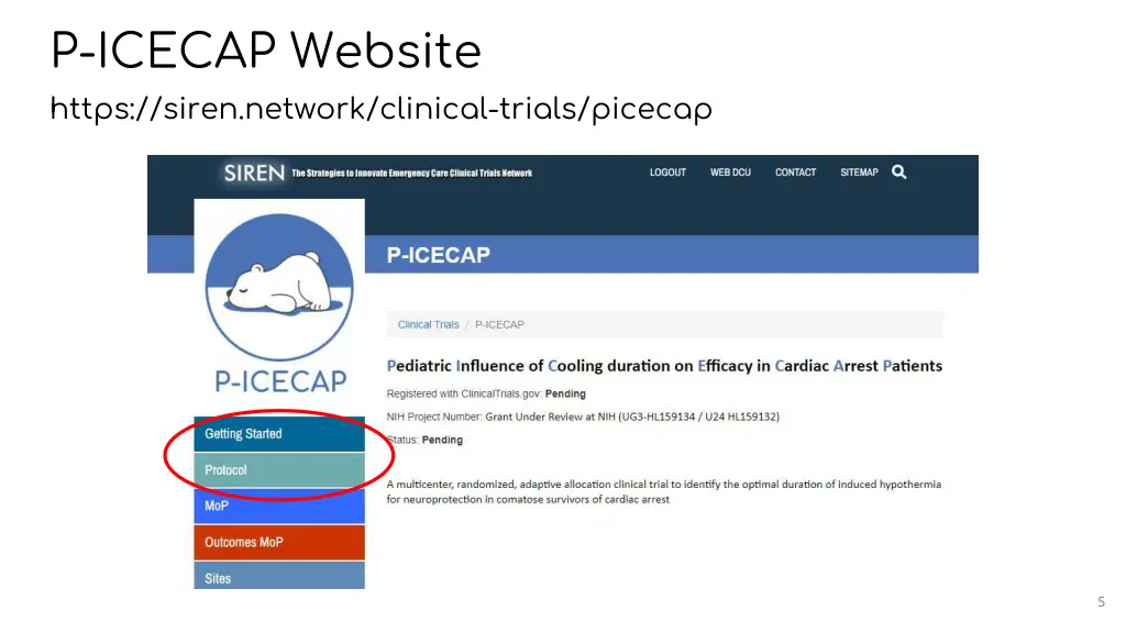 p icecap website https siren network clinical
