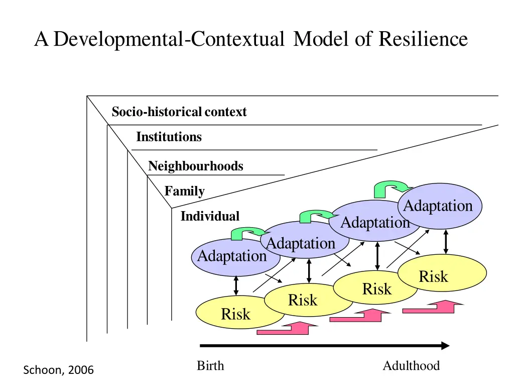 a developmental contextual model of resilience