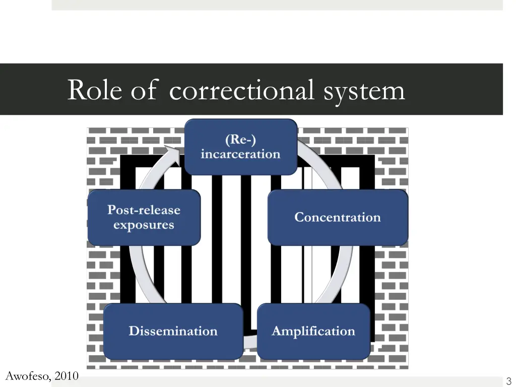 role of correctional system