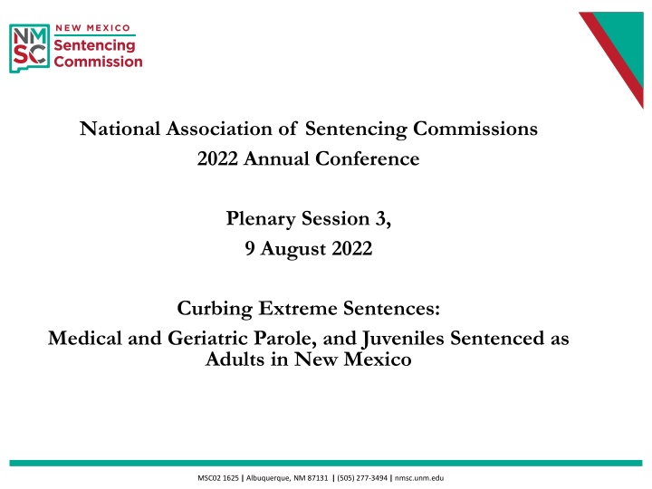 national association of sentencing commissions