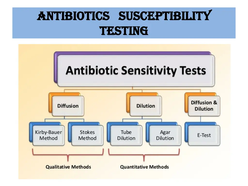 antibiotics susceptibility antibiotics