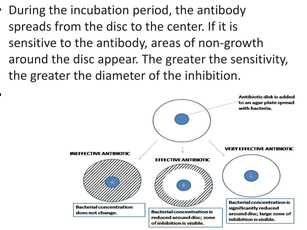 during the incubation period the antibody spreads