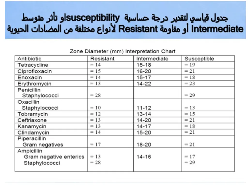 slide11