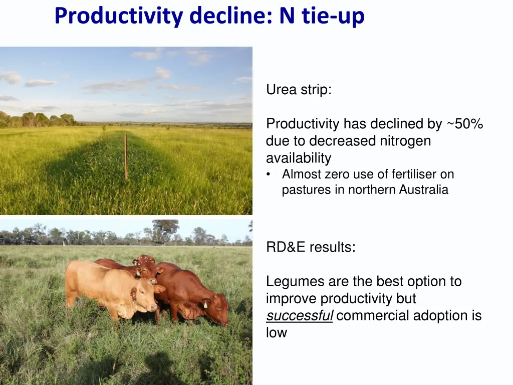 productivity decline n tie up