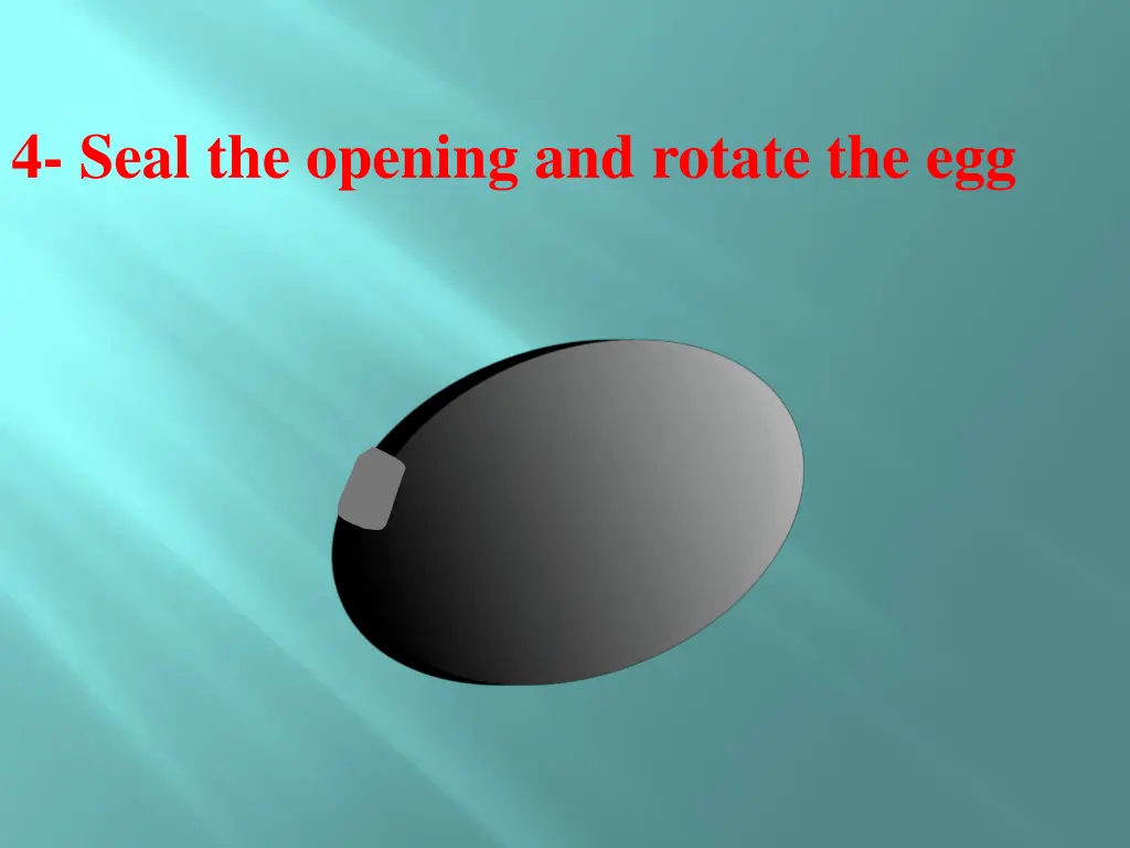 4 seal the opening and rotate the egg