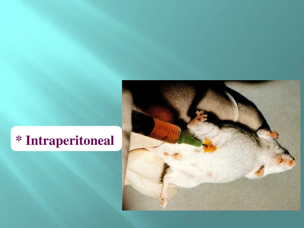 intraperitoneal