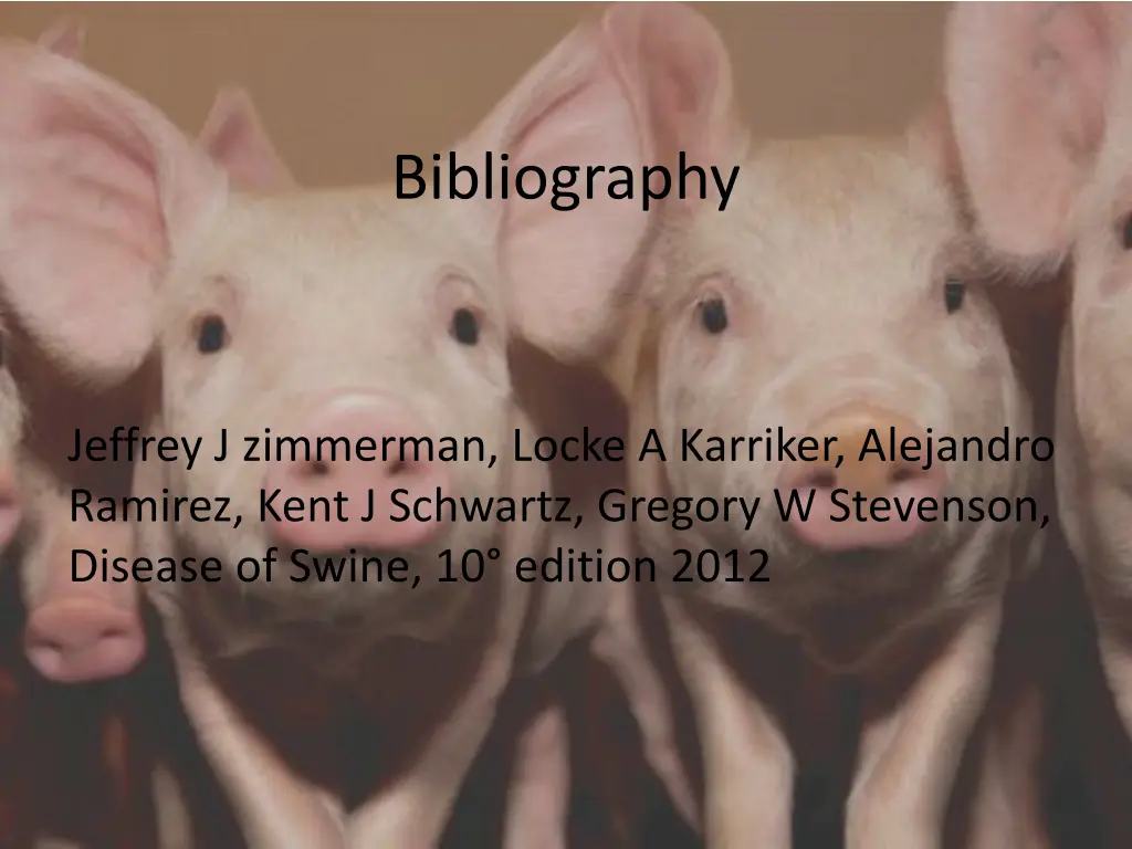 bibliography