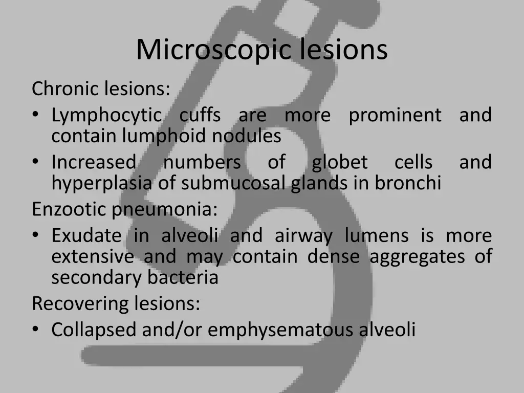 microscopic lesions 1