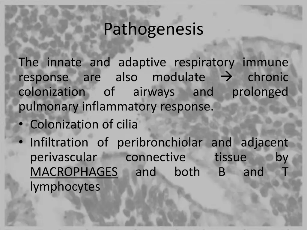 pathogenesis 3