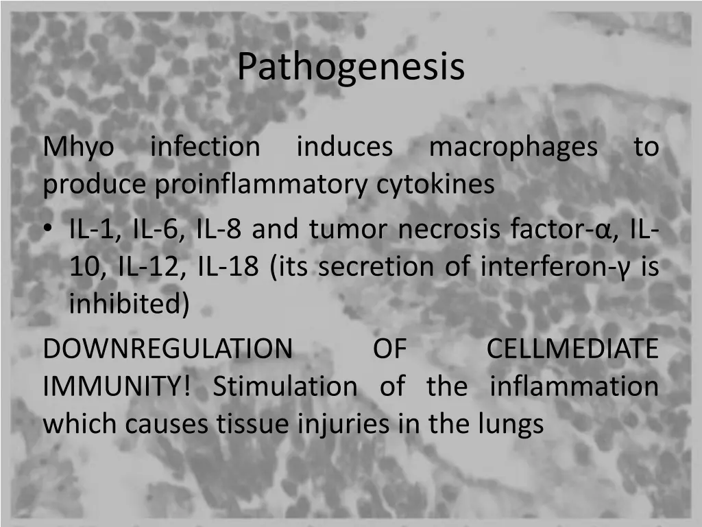 pathogenesis 4