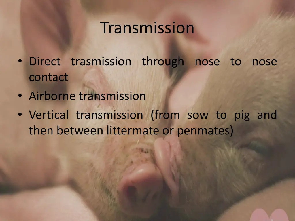 transmission