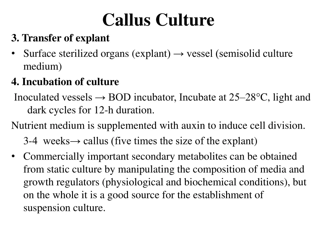 callus culture 2