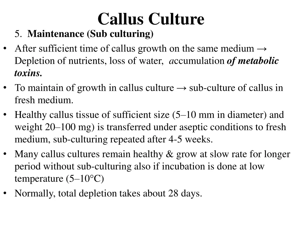 callus culture 4