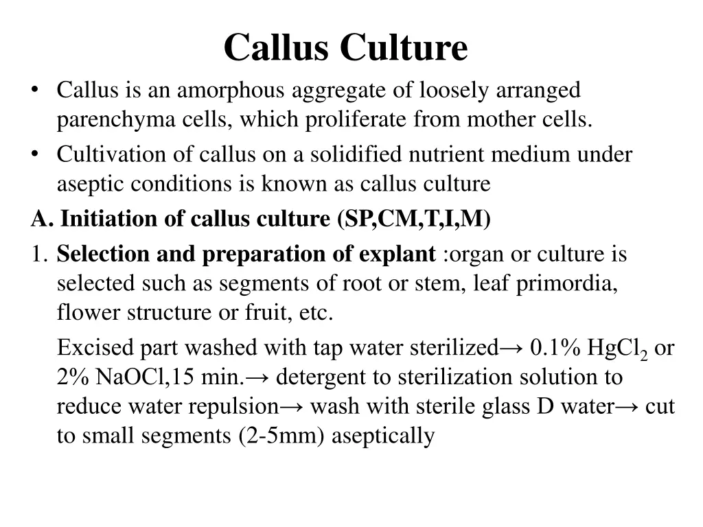 callus culture