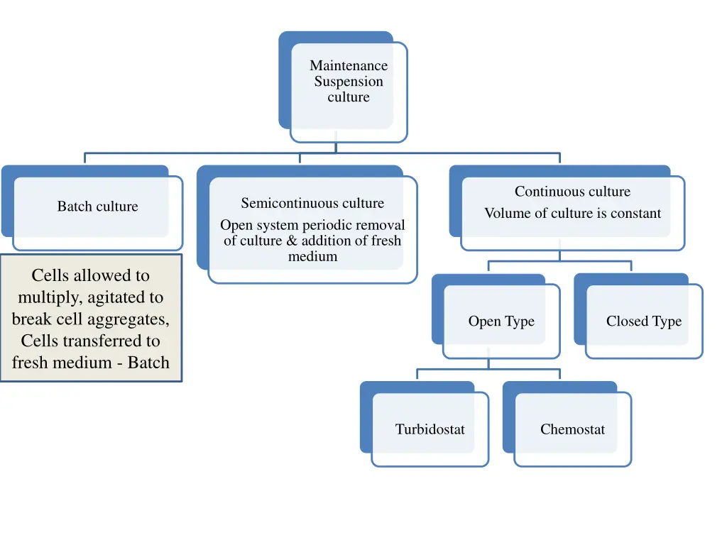 maintenance suspension culture