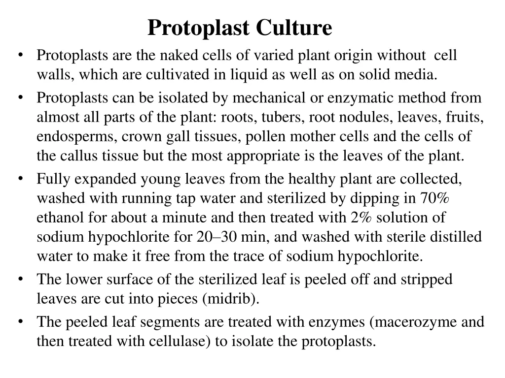 protoplast culture