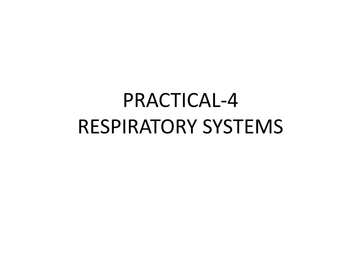 practical 4 respiratory systems