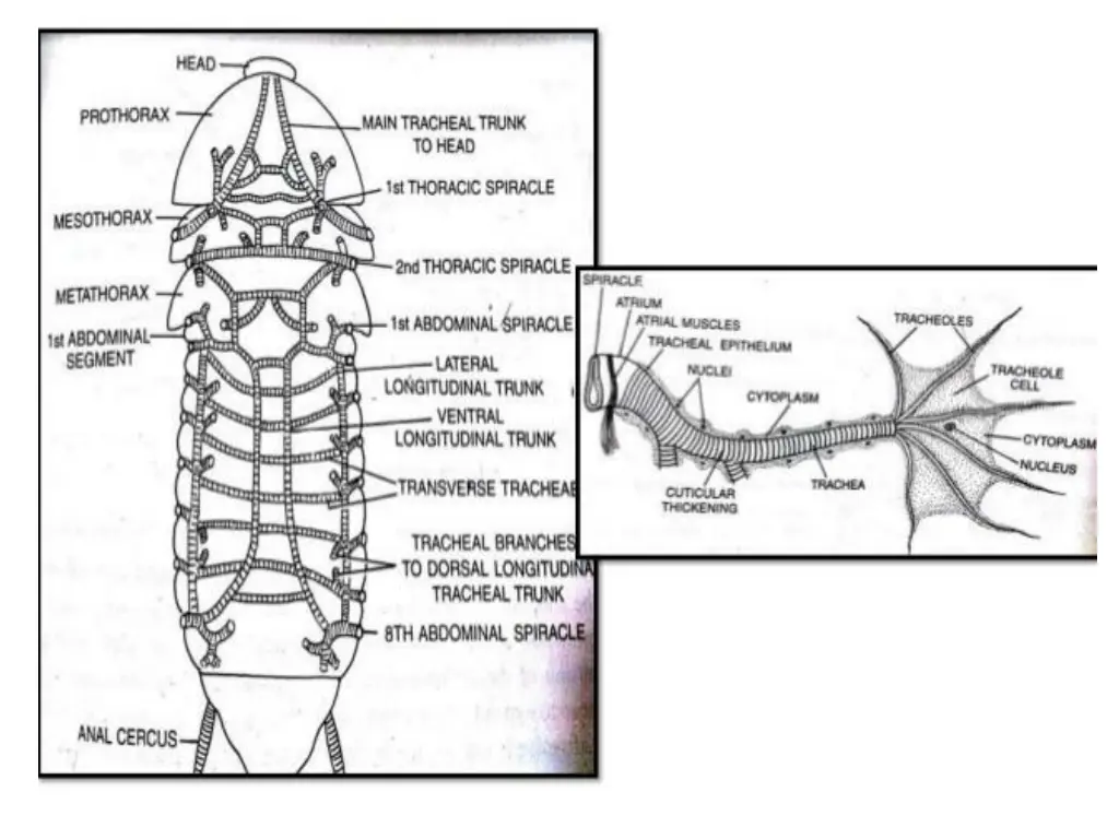 slide6