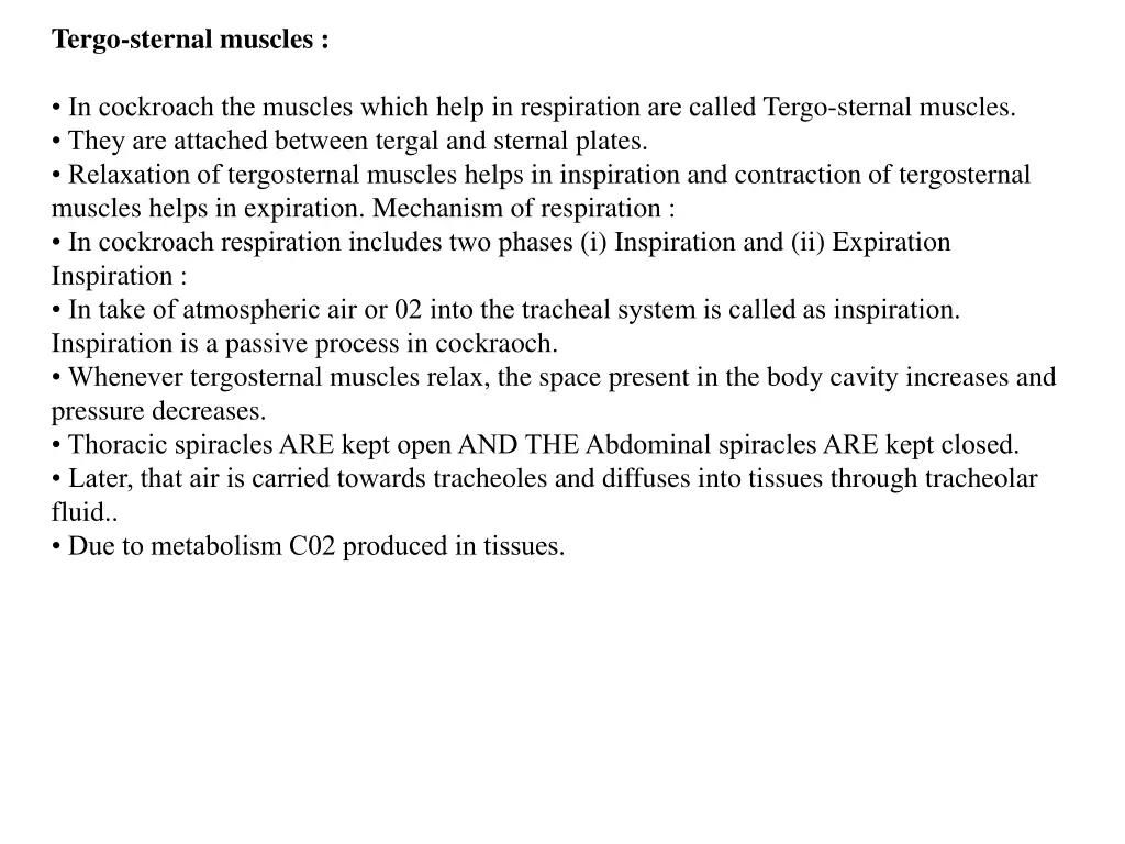 tergo sternal muscles