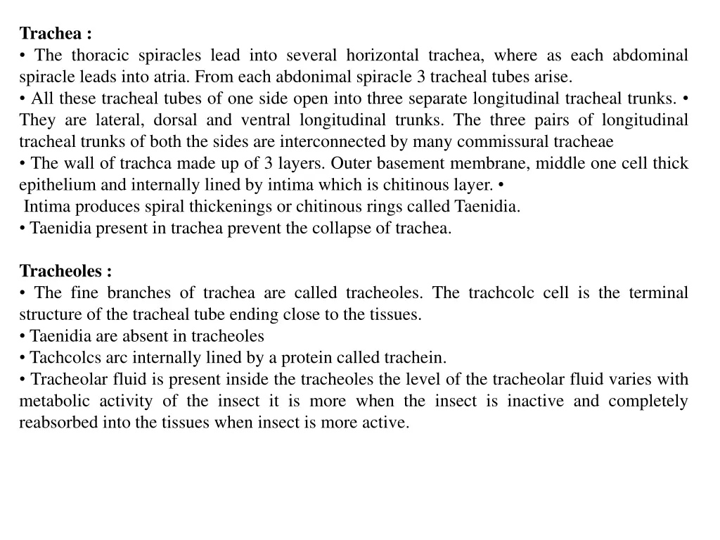 trachea the thoracic spiracles lead into several