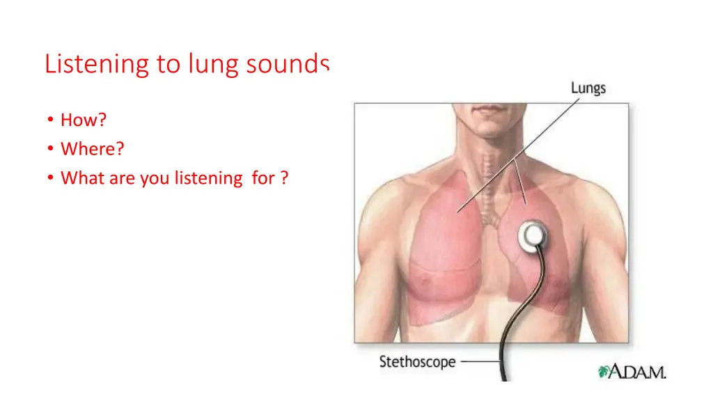 listening to lung sounds