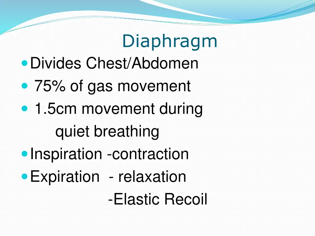 diaphragm