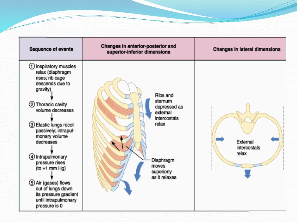 slide14