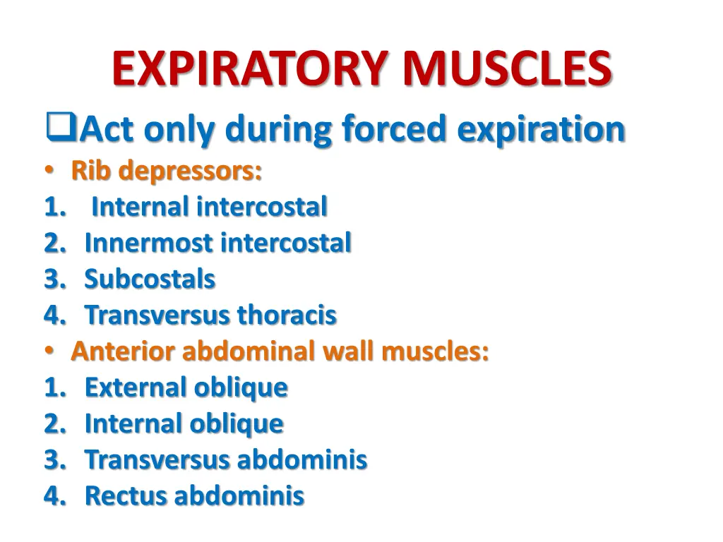 expiratory muscles act only during forced