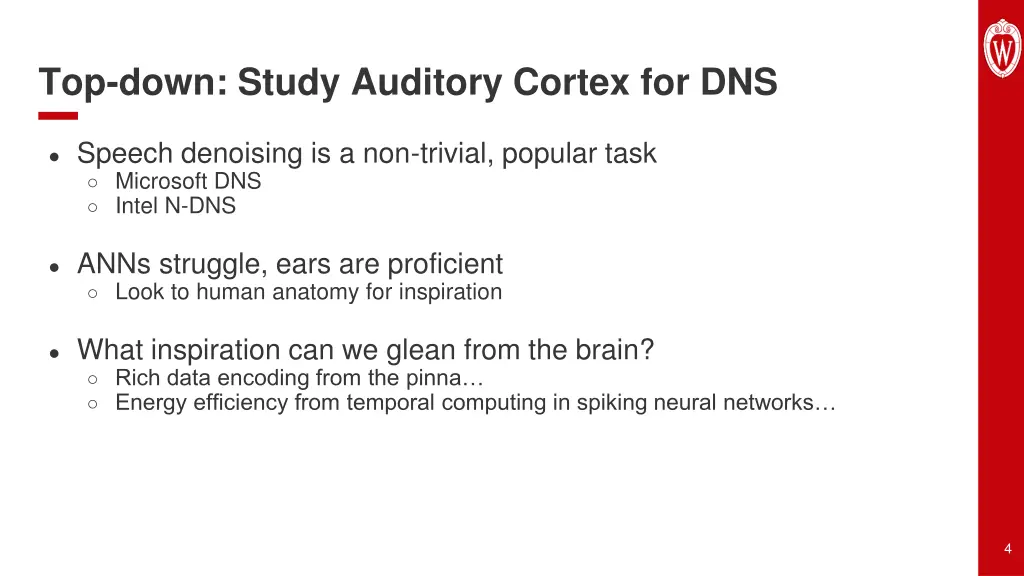 top down study auditory cortex for dns