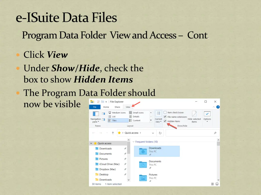 e isuite data files 1