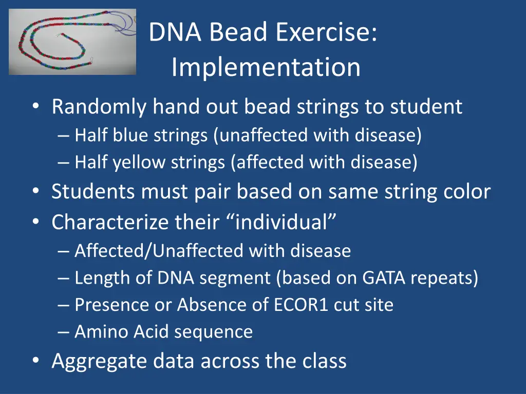 dna bead exercise implementation