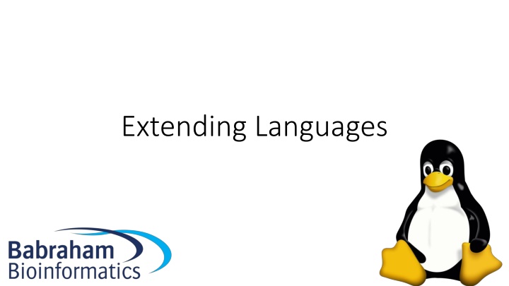 extending languages