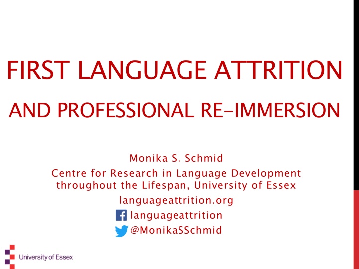 first language attrition and professional