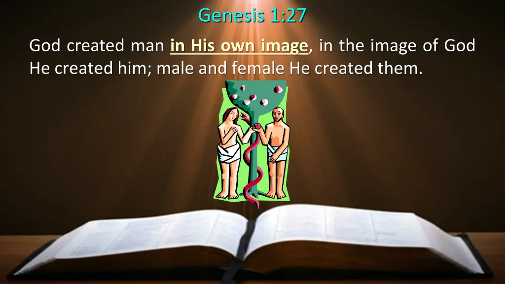 genesis 1 27