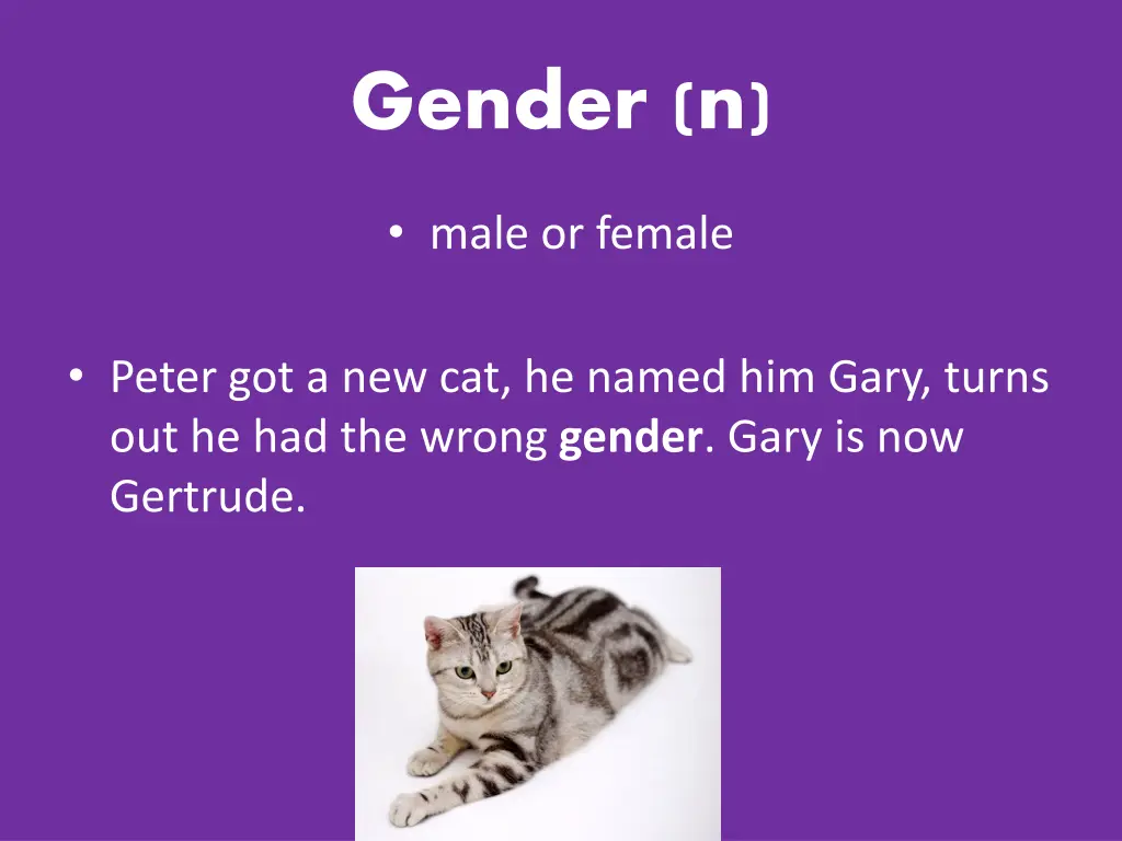 gender n