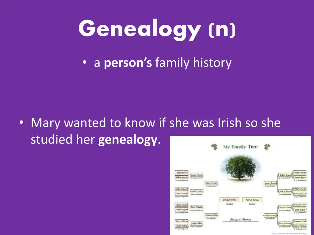 genealogy n