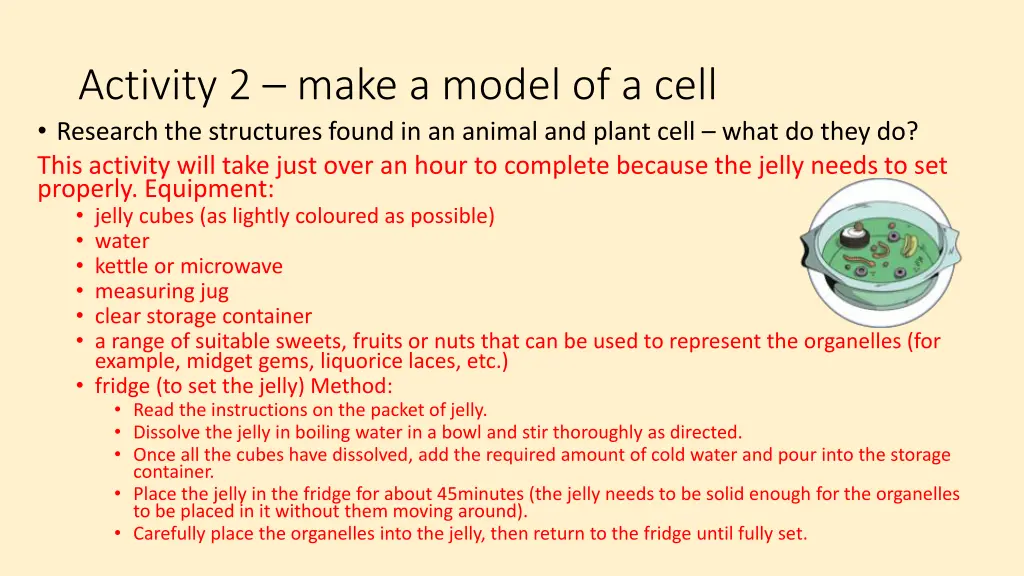 activity 2 make a model of a cell research