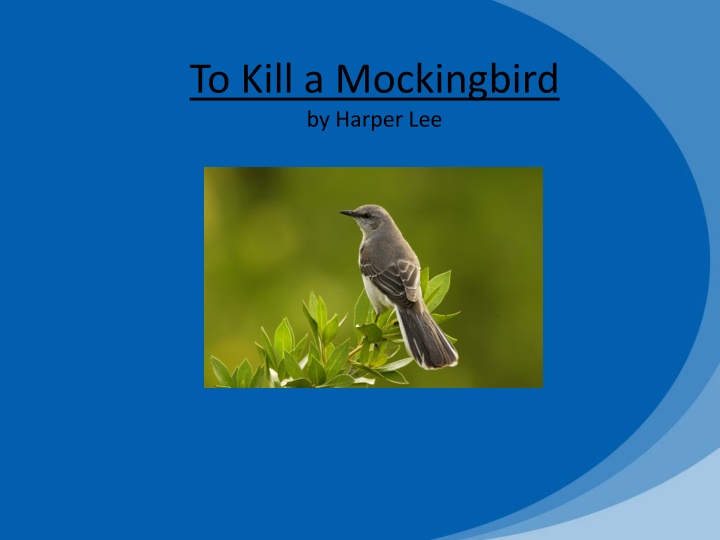 to kill a mockingbird by harper lee