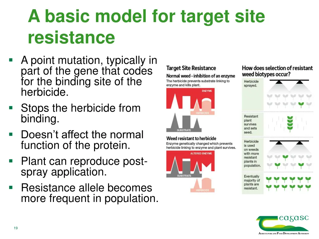 a basic model for target site resistance