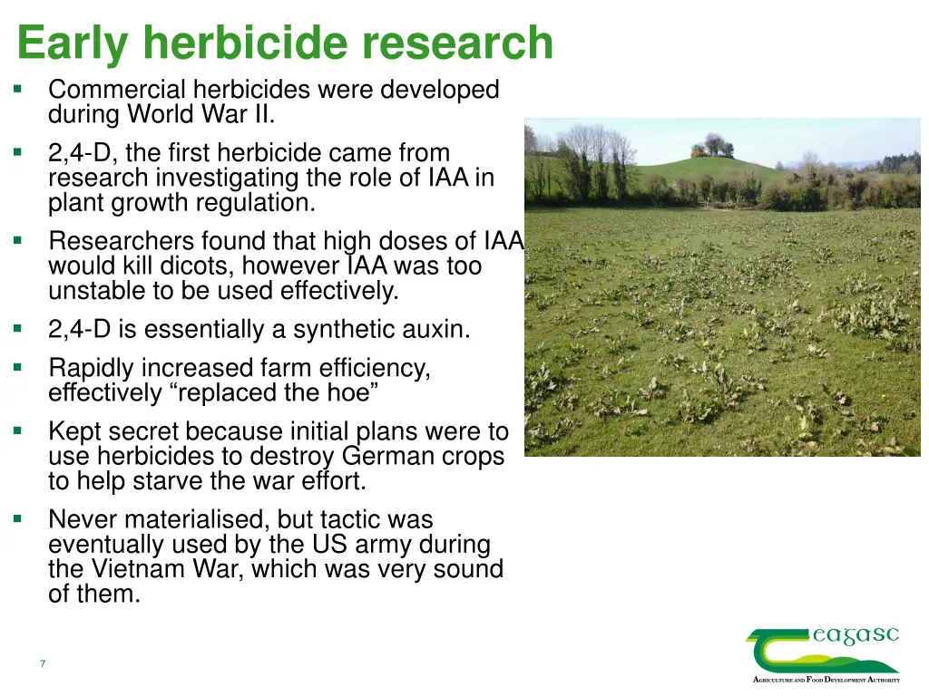 early herbicide research commercial herbicides